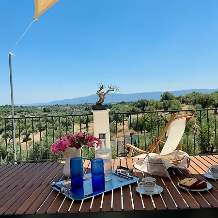 Villa Horizon House, With Olive Grove And A Small Vineyard