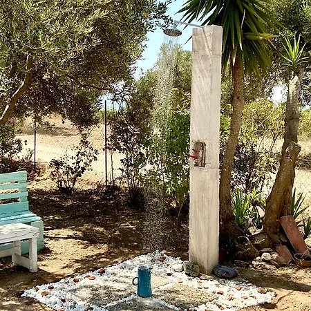 Horizon House, With Olive Grove And A Small Vineyard Villa *