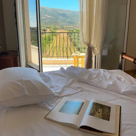 Villa Horizon House, With Olive Grove And A Small Vineyard