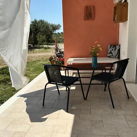 Horizon House, With Olive Grove And A Small Vineyard * Amarinto