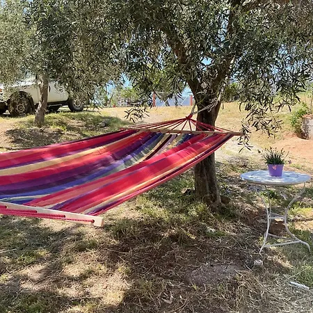 Horizon House, With Olive Grove And A Small Vineyard Villa Amarinto