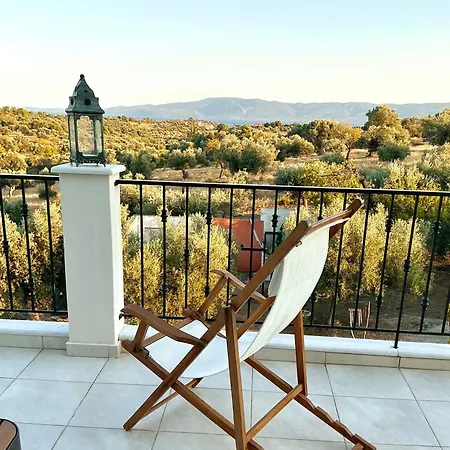 Villa Horizon House, With Olive Grove And A Small Vineyard