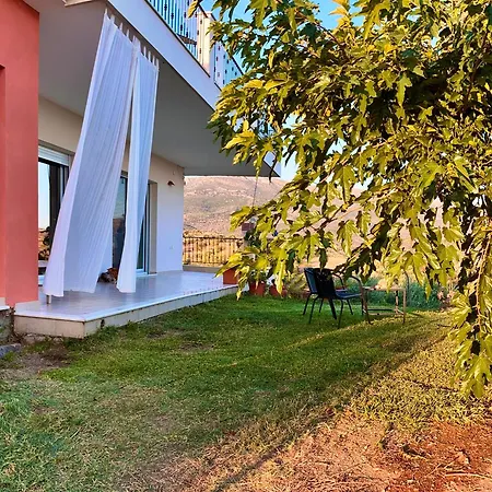 Horizon House, With Olive Grove And A Small Vineyard