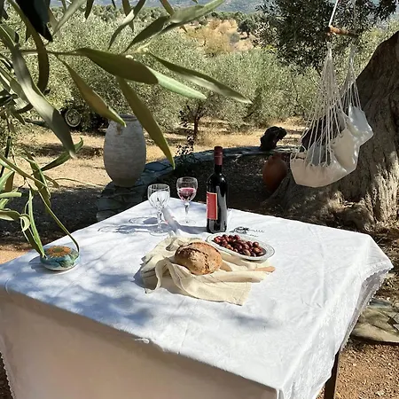 Horizon House Inside Olive Grove & Vineyard Εtsate! * אמרינתוס