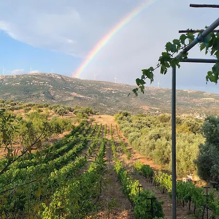 וילה Horizon House Inside Olive Grove & Vineyard Εtsate! *