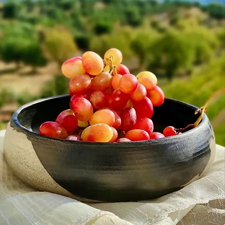 Horizon House Inside Olive Grove & Vineyard Εtsate! וילה *