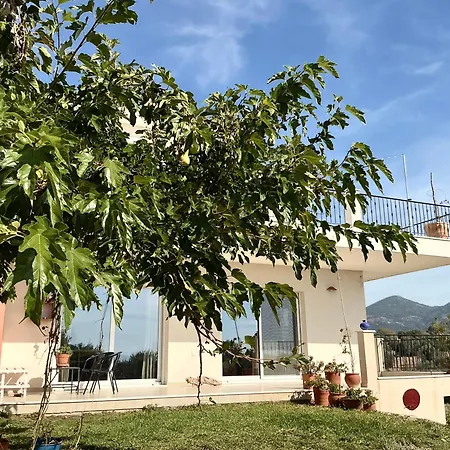 Villa Horizon House Inside Olive Grove & Vineyard εtsate! Amarynthos
