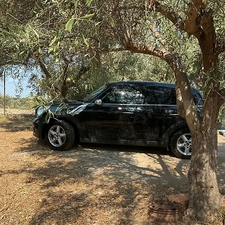 וילה Horizon House Inside Olive Grove & Vineyard Εtsate! *