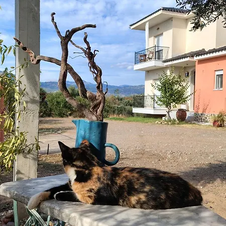 Horizon House Inside Olive Grove & Vineyard Εtsate! וילה אמרינתוס